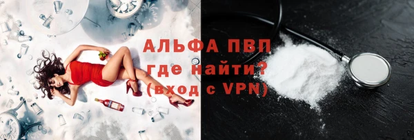 гашик Няндома