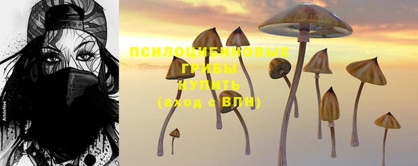 мет Осинники