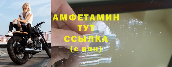 гашик Няндома