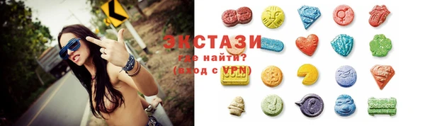 гашик Няндома