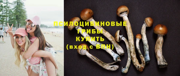 сатива Нягань