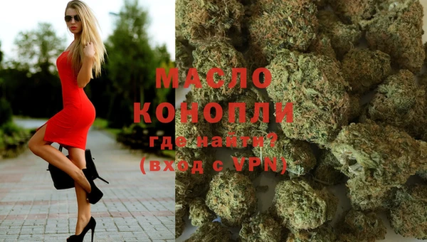гашик Няндома