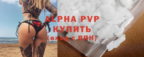 гашик Няндома